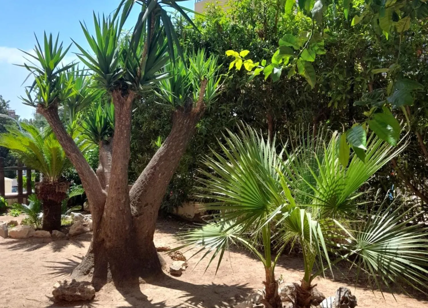Torremolinos Centro Beach Apartment